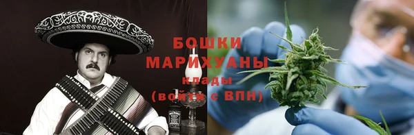 PSILOCYBIN Няндома
