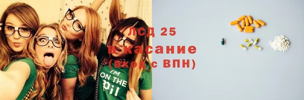 ПСИЛОЦИБИНОВЫЕ ГРИБЫ Нязепетровск