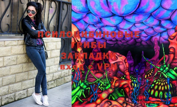 PSILOCYBIN Няндома