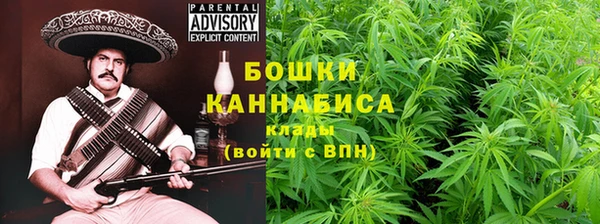 PSILOCYBIN Няндома