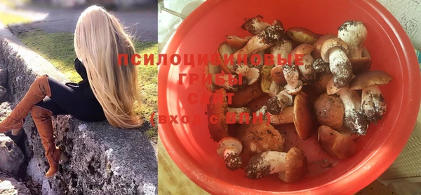 каннабис Бердск