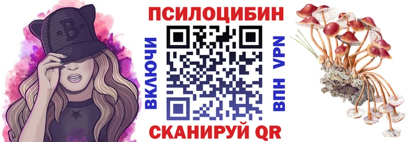 Галлюциногенные грибы MAGIC MUSHROOMS  купить наркоту  Великие Луки 