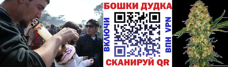 darknet какой сайт  кракен ТОР  Великие Луки  Каннабис сатива 